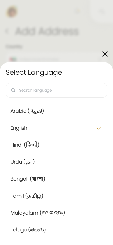 Select Language.png